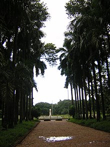 Shibpur botanical garden