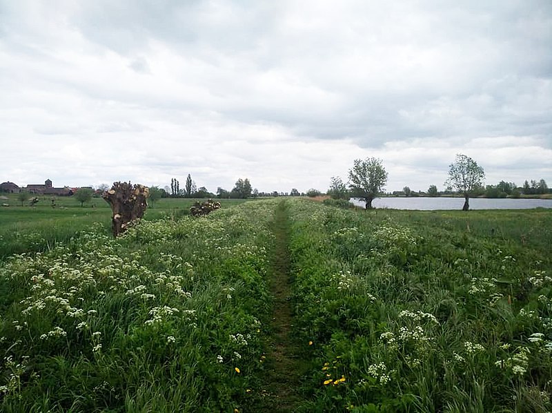 File:Koppelerwaard 1.jpg