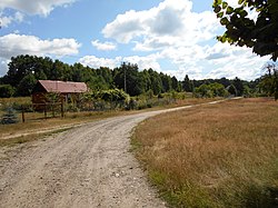 Unbefestigte Straße in Krukówka