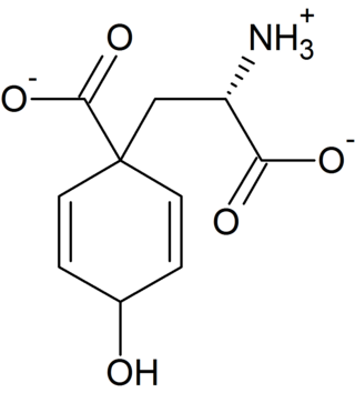 <span class="mw-page-title-main">Arogenic acid</span> Chemical compound