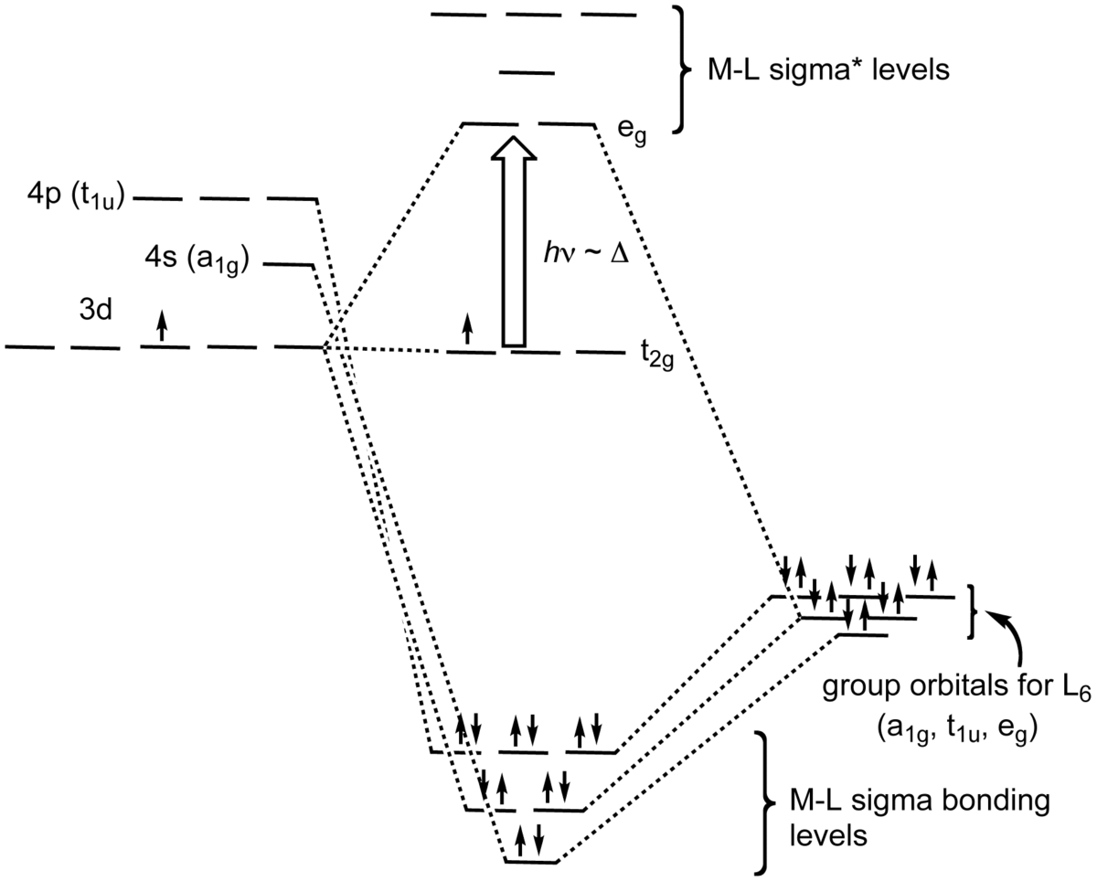 Structural Biochemistry/Protein function/Ligand ...