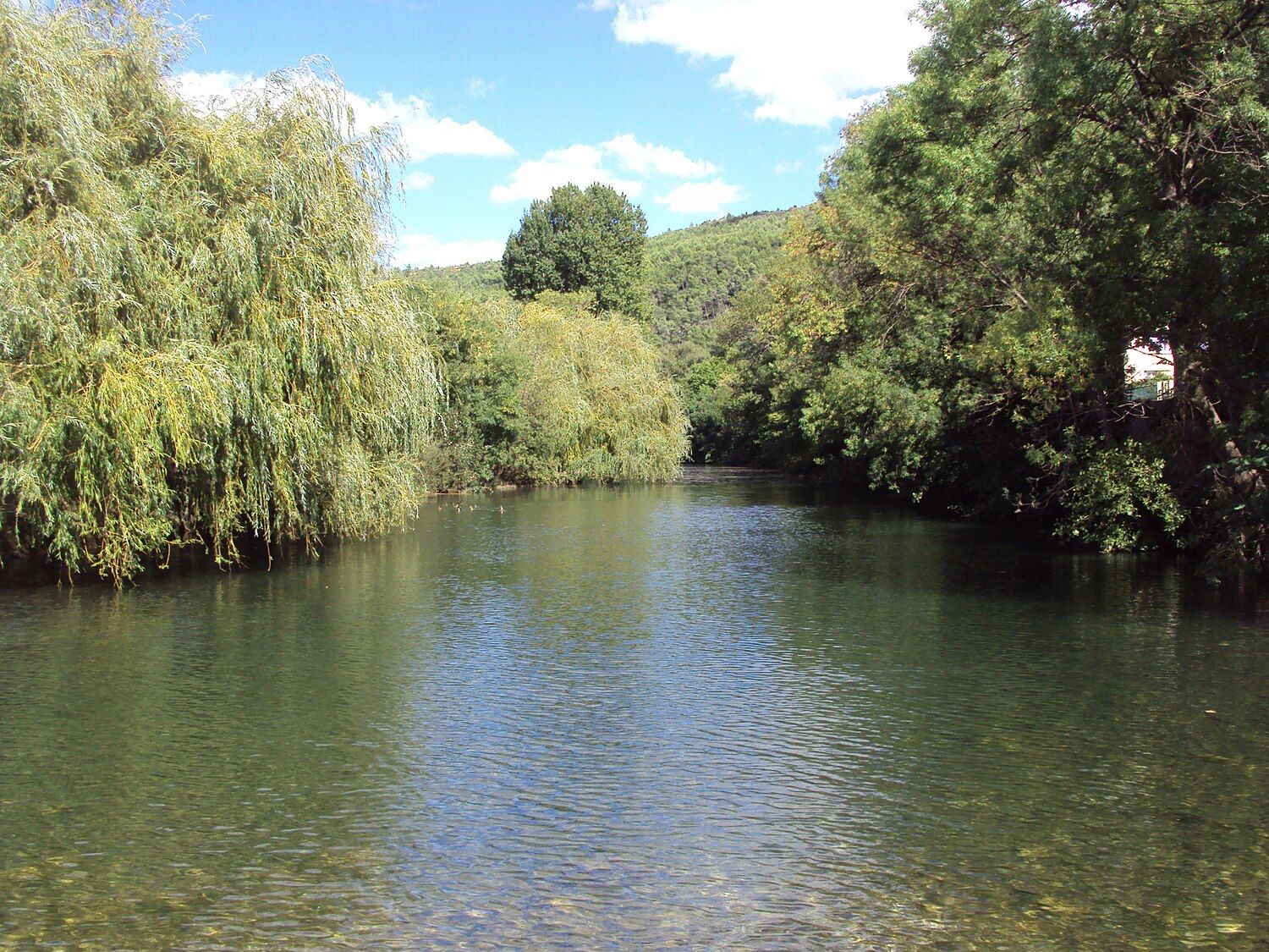 La rivière Cesse se fait désirer 