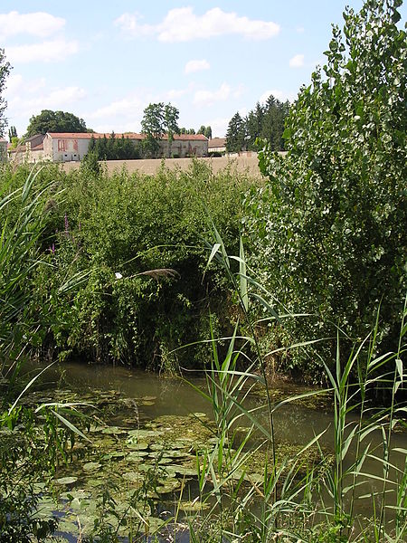 File:La Vouge avec vue sur les bâtiments de l'abbaye.JPG