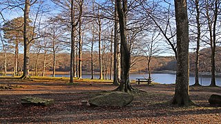 <span class="mw-page-title-main">Bassin de Lampy</span> Body of water