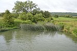 Thumbnail for Wytham Ditches and Flushes