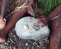 Cutting the shell with a sharp stone, 2008