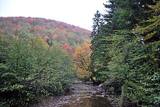 <span class="mw-page-title-main">Laurel Fork (Cheat River tributary)</span> River in West Virginia, United States