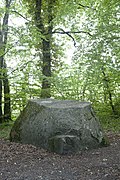 Le Menhir Tronqué de la forêt du Devens à Saint-Aubin NE