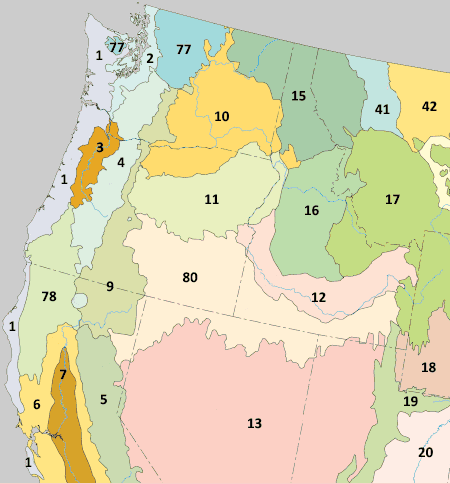 The level III ecoregions in Oregon are the Coast Range (1), Willamette Valley (3), Cascades (4), Eastern Cascades Slopes and Foothills (9), Columbia Plateau (10), Blue Mountains (11), Snake River Plain (12), Klamath Mountains (78), and Northern Basin and Range (80). (Compare to map of Level IV ecoregions.) Level III ecoregions, Pacific Northwest.gif
