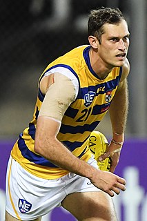 <span class="mw-page-title-main">Lewis Stevenson (Australian footballer)</span> Australian rules footballer (born 1989)