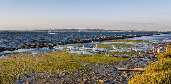 Lido de Thau, Sète, France