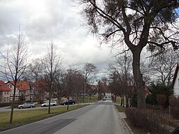 Lindenallee Wernigerode