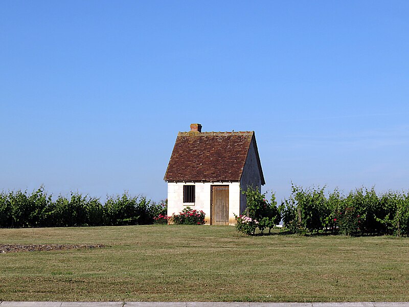 File:Loge de vignes 5773.jpg