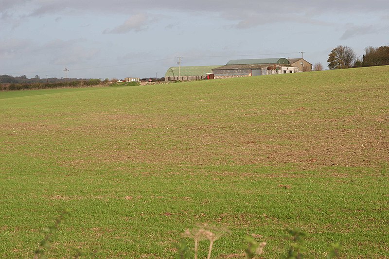 File:Long Park, Hampshire - geograph.org.uk - 2718115.jpg