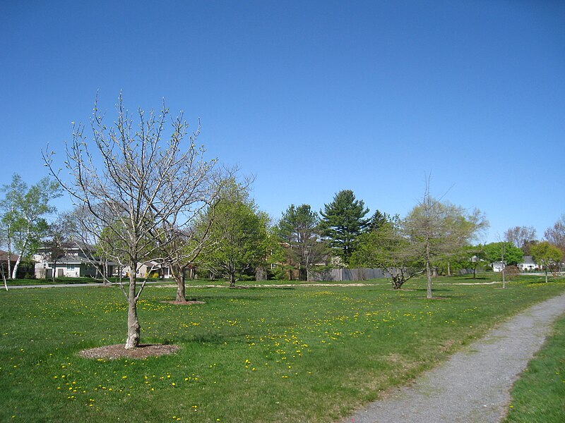 File:Longfellow Arboretum (Portland, ME) - IMG 8149.JPG