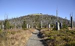 Miniatura per Nationalpark Bayerischer Wald