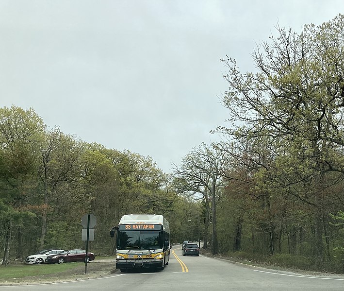 File:MBTA route 33 bus on Turtle Pond Parkway, May 2021.jpg