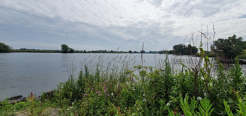 File:Maas bij Bokhoven jun 2020.jpg