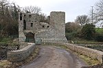 Mahee castle, Strangford Lough - geograph.org.uk - 319096.jpg