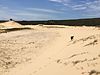 Marley Beach Sand Dunes.jpg