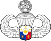 Значок Master AFP Parachutist Badge.png