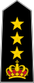 Monaco-army-OF-5.svg