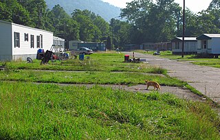 <span class="mw-page-title-main">Monarch, West Virginia</span> Unincorporated community in West Virginia, United States