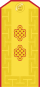 Přehlídka mongolské armády - MJG 1998–2011