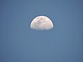 "Moon_with_Craters.jpg" by User:Ara Basu