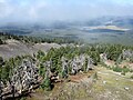 Mt. Bachelor Ski Resort (2014)