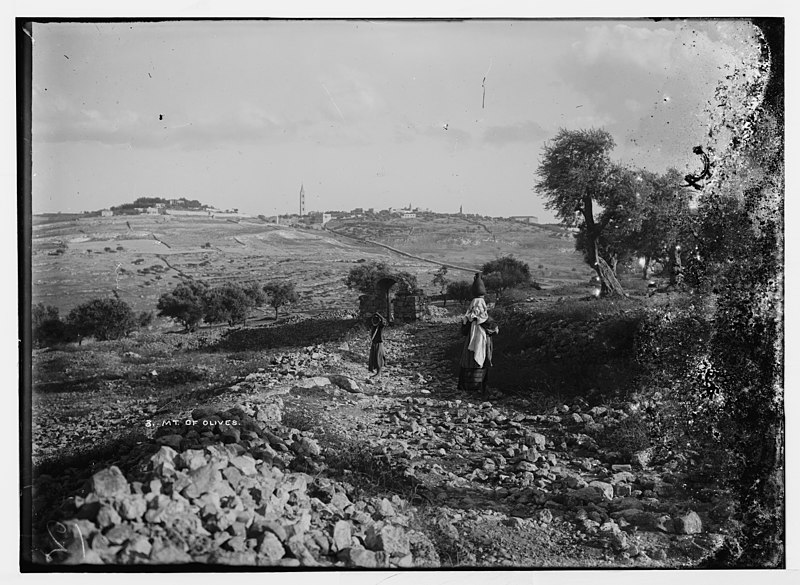 File:Mt. of Olives, Jerusalem LOC matpc.04923.jpg