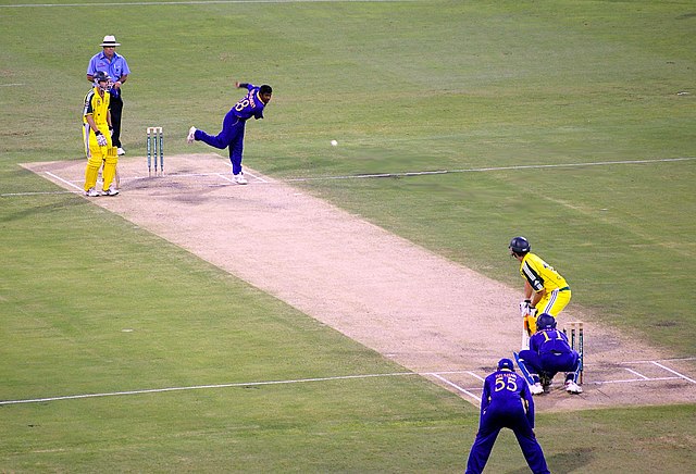 What to Know About the Cricket World Cup (for Experts and Beginners) - The  New York Times