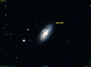 NGC 2977 DSS.jpg