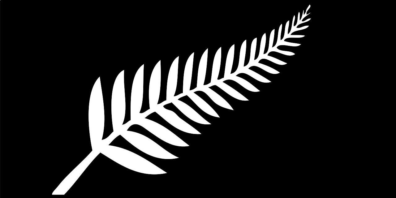 Silver fern flag - Wikipedia