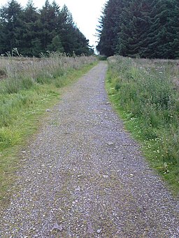 National Cycle Network Track into Silton Forest - geograph.org.uk - 891663