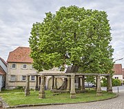 Naturdenkmal Dorflinde in Birnfeld 2.jpg