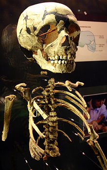 neanderthal skull front