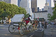 A horse-drawn carriage by the park