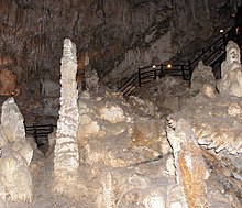 Ngilgi Cave SMC 2008.jpg