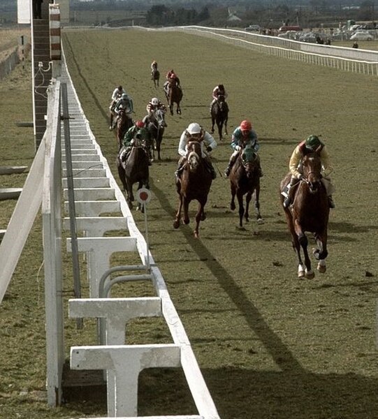Nijinsky (Liam Ward) winning the Gladness Stakes at the Curragh in 1970
