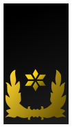 File:Nl-marechausee-brigade generaal.svg