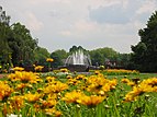 Nordpark Düsseldorf Springbrunnen.JPG