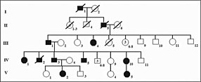 Heredograma da família com membros afetados em diferentes gerações identificando herança autossômica dominante.