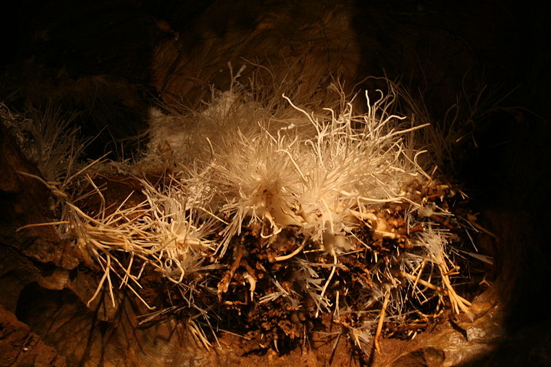 File:Ochtina Aragonite Cave 38.jpg