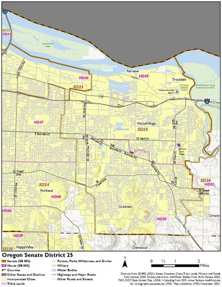 <span class="mw-page-title-main">Oregon's 25th Senate district</span>