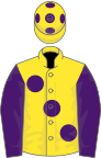 Yellow, large Purple spots, sleeves and spots on cap