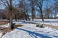 * Nomination Park trees and reeds on Hans-Pruscha-Weg, Pörtschach, Carinthia, Austria -- Johann Jaritz 03:02, 6 February 2023 (UTC) * Promotion  Support Good quality. --XRay 04:41, 6 February 2023 (UTC)