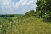 Čeština: Přírodní památka Brániska, okres Prostějov