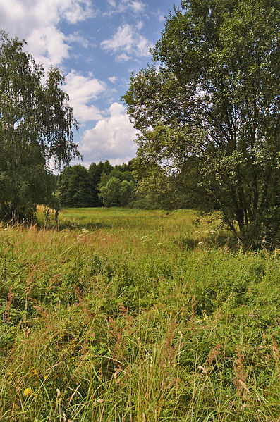 File:Přírodní památka Pohorská louka, okres Prostějov.jpg