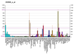 PBB GE SVIL 202565 с at fs.png